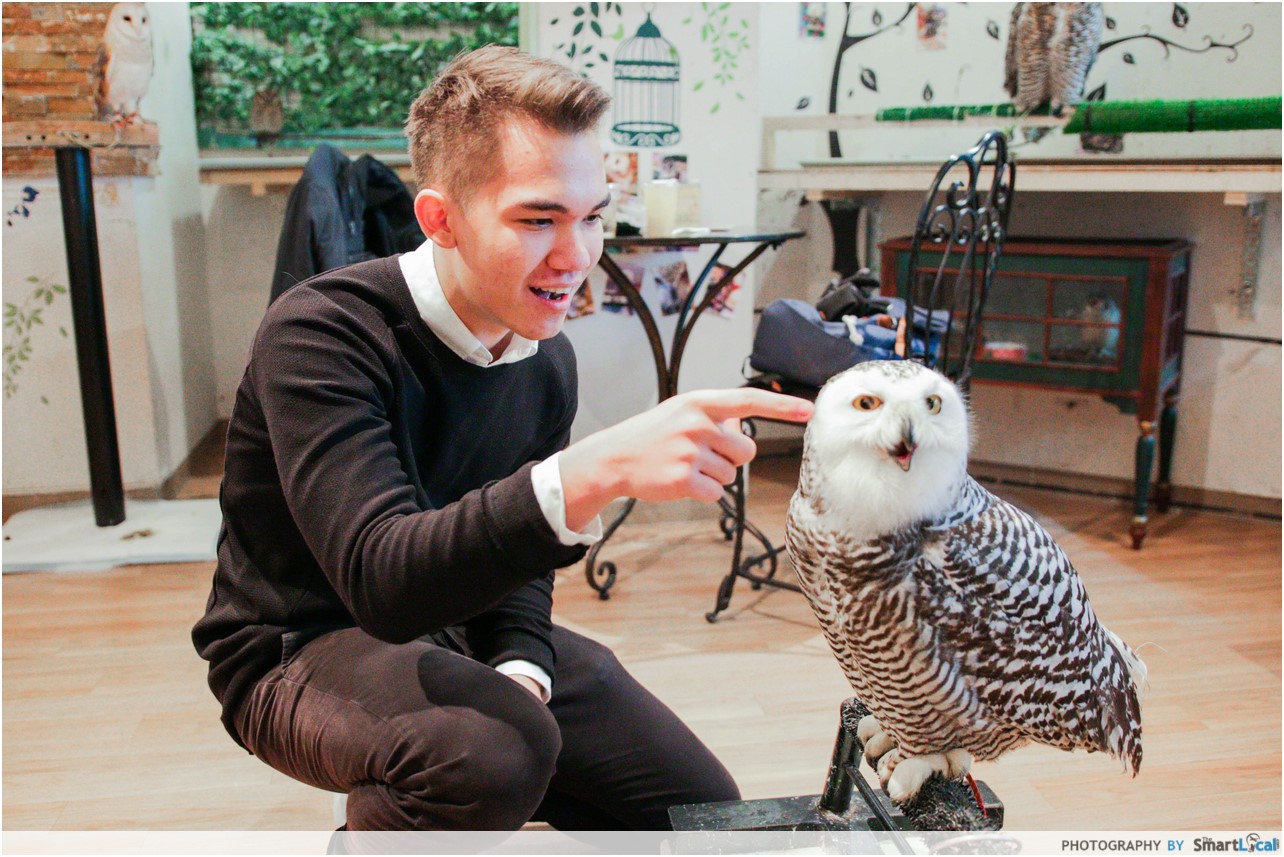 The Smart Local - Thomas petting an owl in the Lucky Owl Cafe