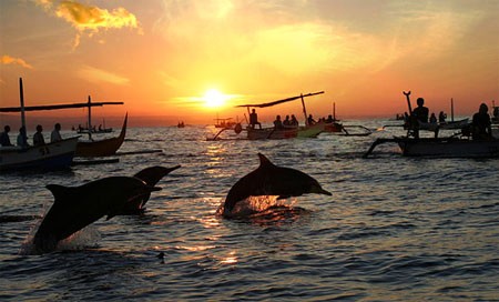Sunset with dolphins at Lovina Beach
