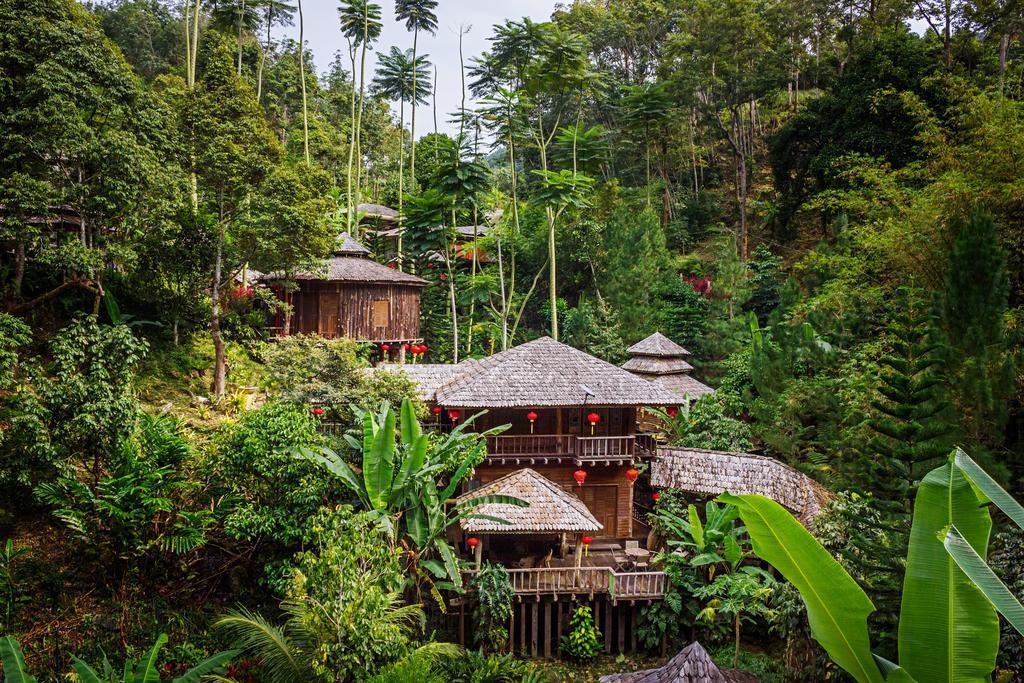 10 Amazing Rainforest Hotels In Malaysia - Treehouses, Pipe Capsules