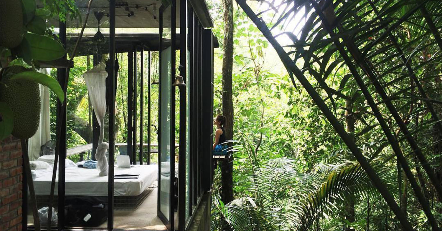 Rainforest hotels