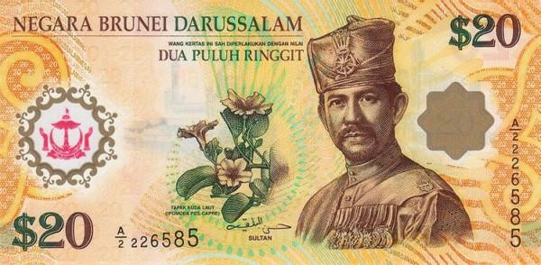 You can use Singapore currency in Brunei