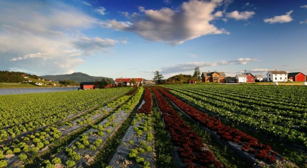 Work in agriculture in Norway