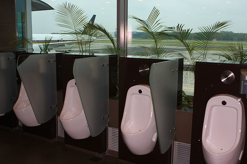 beautiful public toilet changi airport