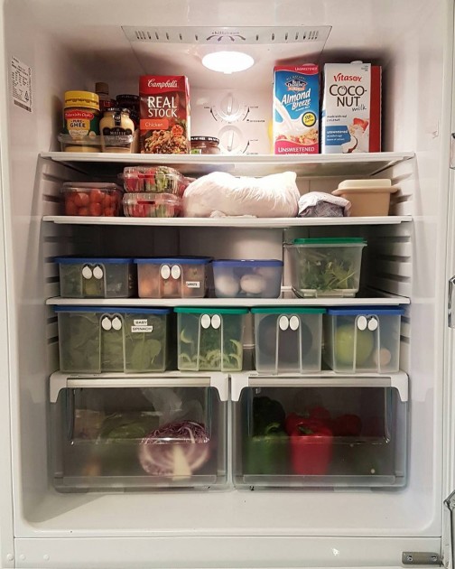 fridge, tidy, clean, ants, cockroaches