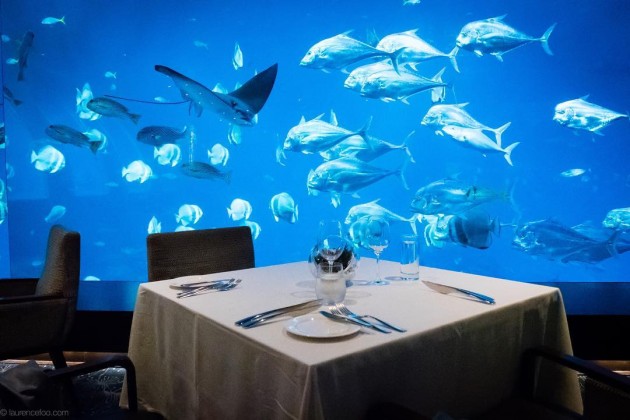 ocean restaurant, interior