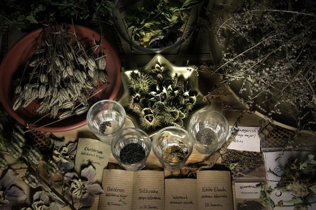 Herbs at Spellbound Witchcraft store Singapore