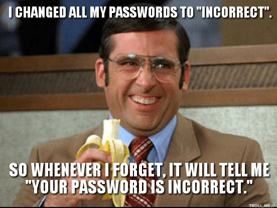 password hint meme