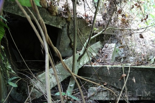 Uncover these hidden collapsed structures