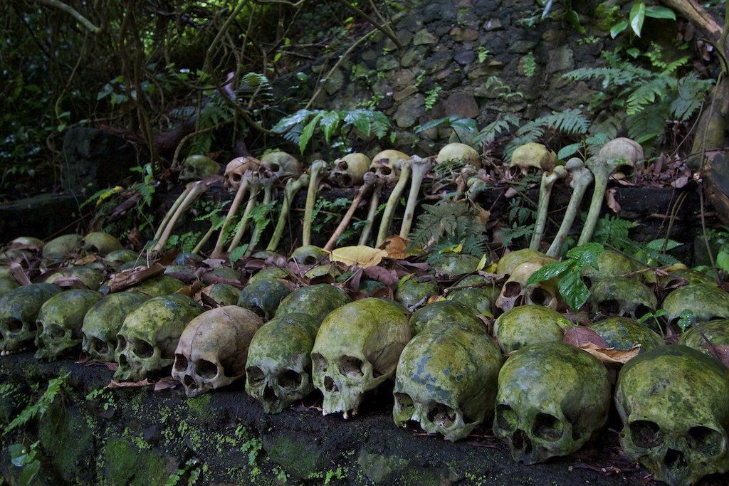 Rows of skulls at Trunyan Village, Bali