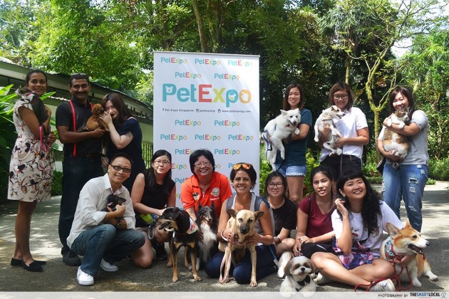 Meet Singapore’s most Instafamous pets