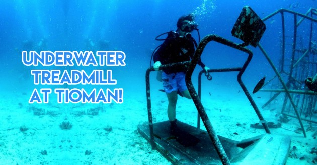 tioman treadmill underwater diving wrecks sculptures sights south east asia singapore