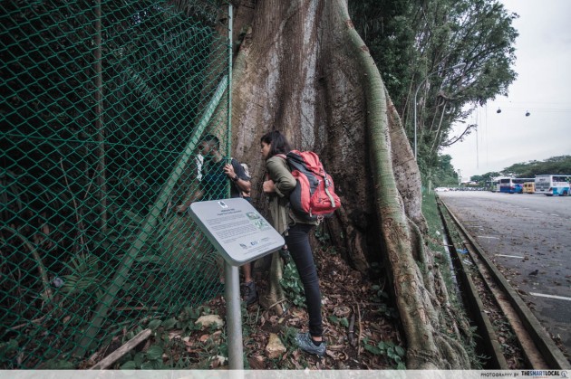 undeclared walking hiking trails singapore directions seah im bunker carpark mount faber harbourfront