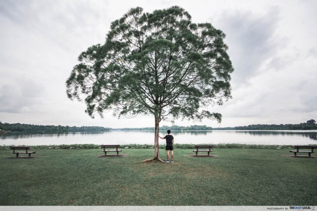 upper seletar reservoir park symmetrical tree wedding