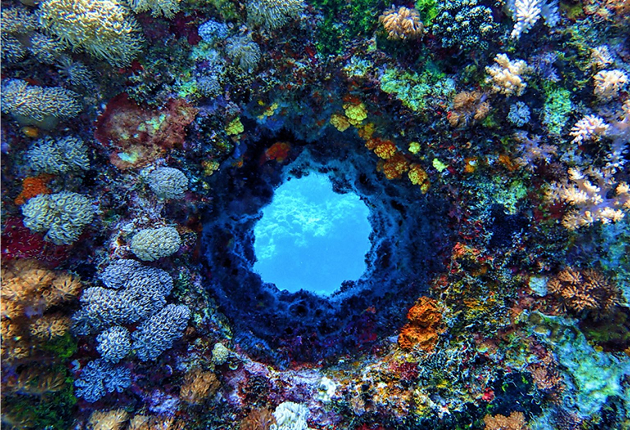 green island coral reef tai tung taiwan