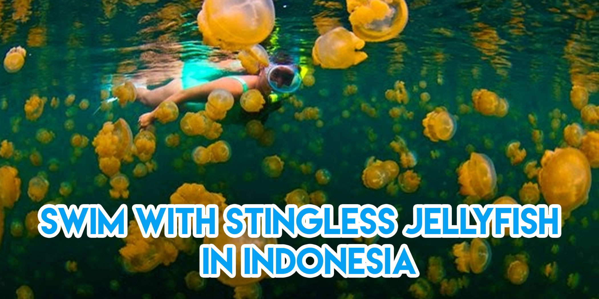 lesser known snorkel spots asia pulau kakaban