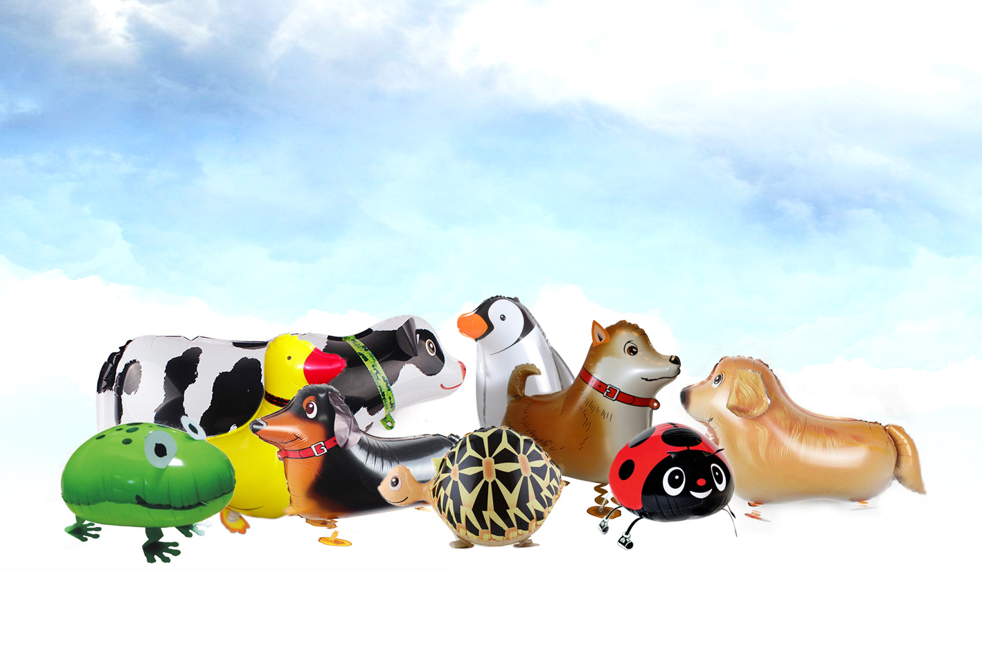 Walking pet balloons by party wholesale centre