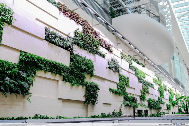 Changi Airport Terminal 4 green wall plants