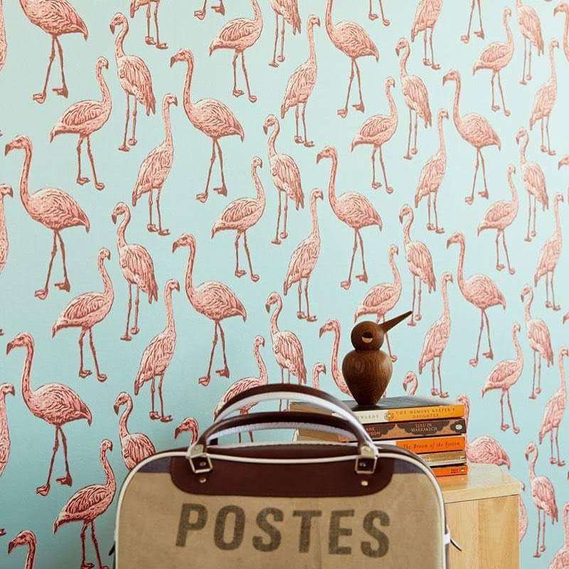 wallhub singapore wallpaper flamingo