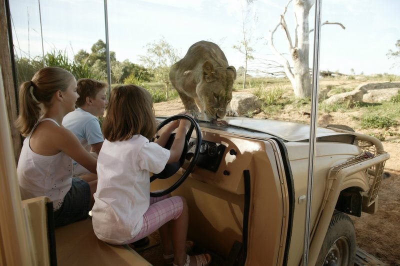 Werribee Open Range Zoo Safari tour exciting and unique things to do in Melbourne hidden places in australia