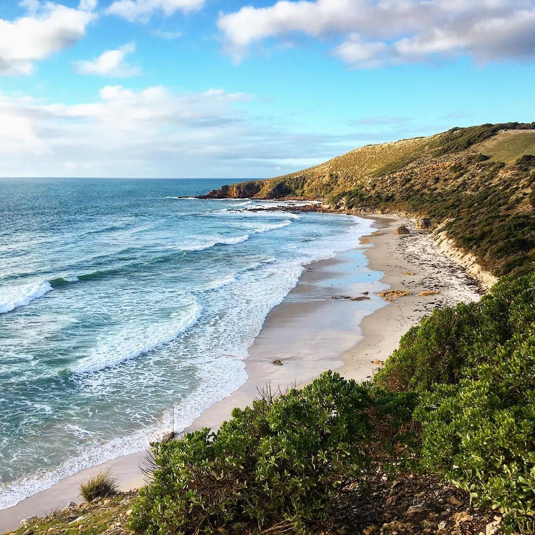 Kangaroo Island hidden secret beaches in adelaide new unique things to do in australia stokes bay beach