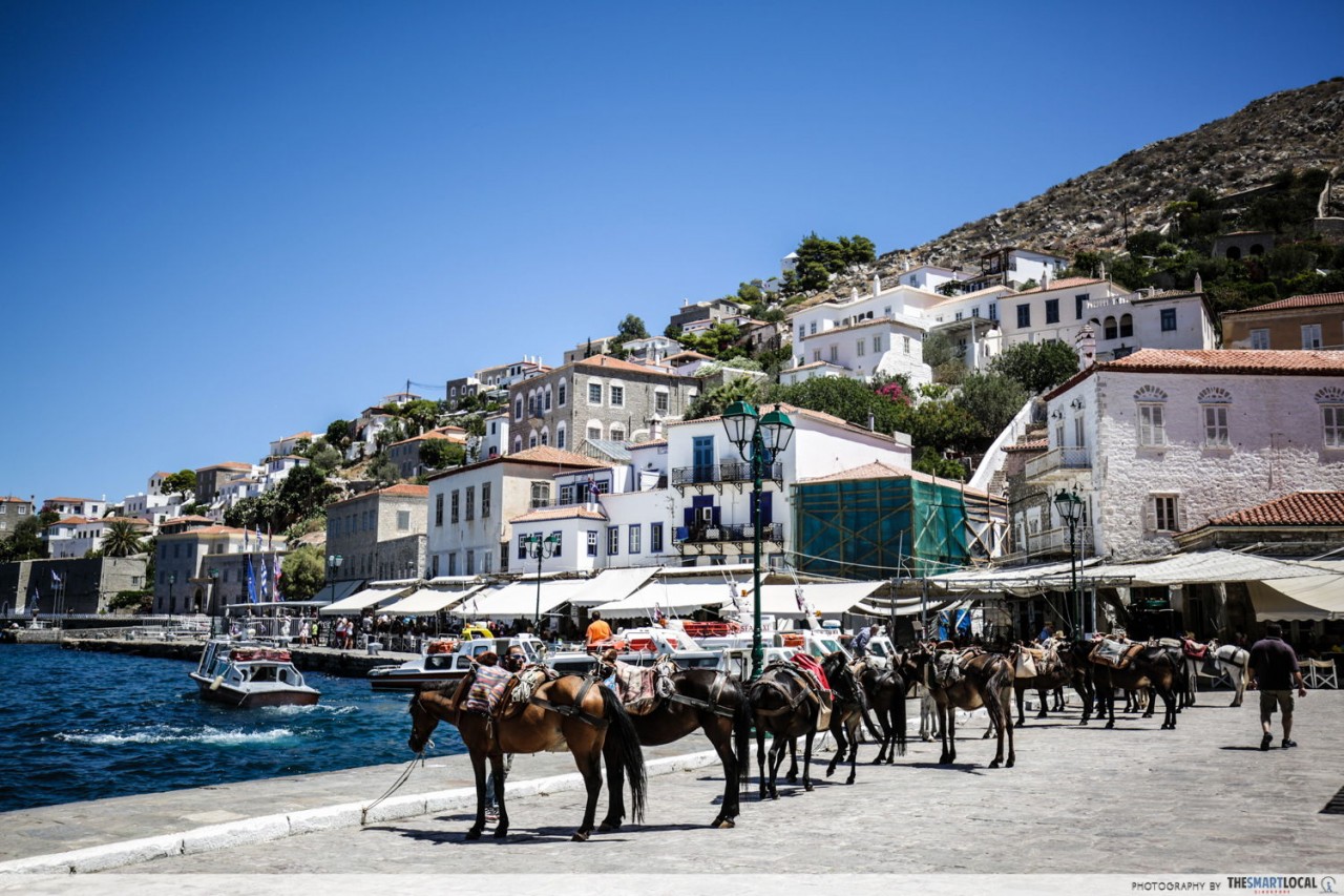 hydra island donkey transport greece