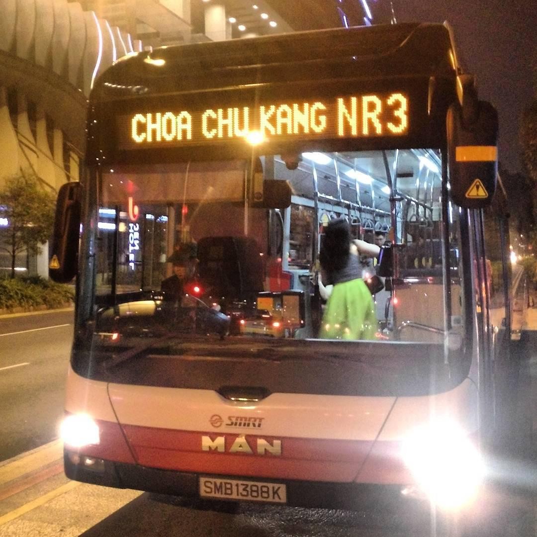 singapore bus night rider service 