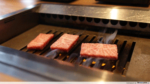 Yakiniku Taster platter grill