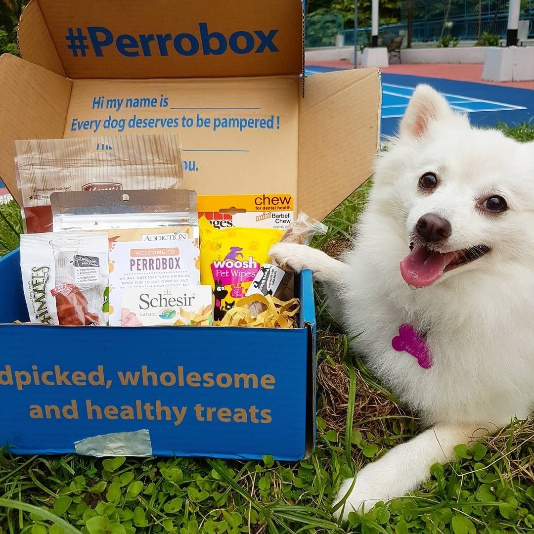 PerroBox subscription service
