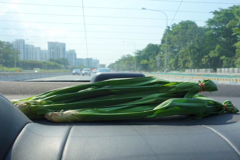 pandan leaves for roaches