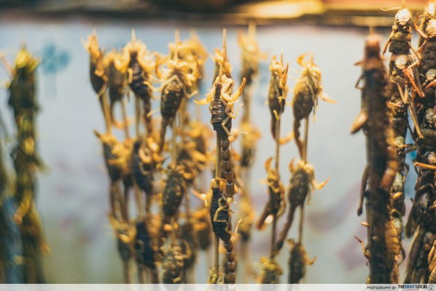 Weird things to do in jinan china eat insects at furong street