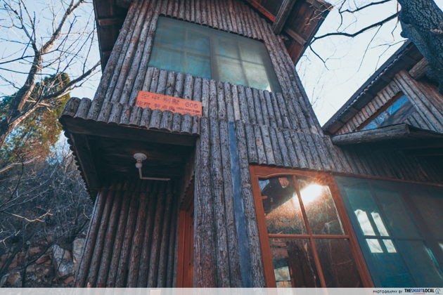 New things to do in China Red leaves valley Jinan treehouse 