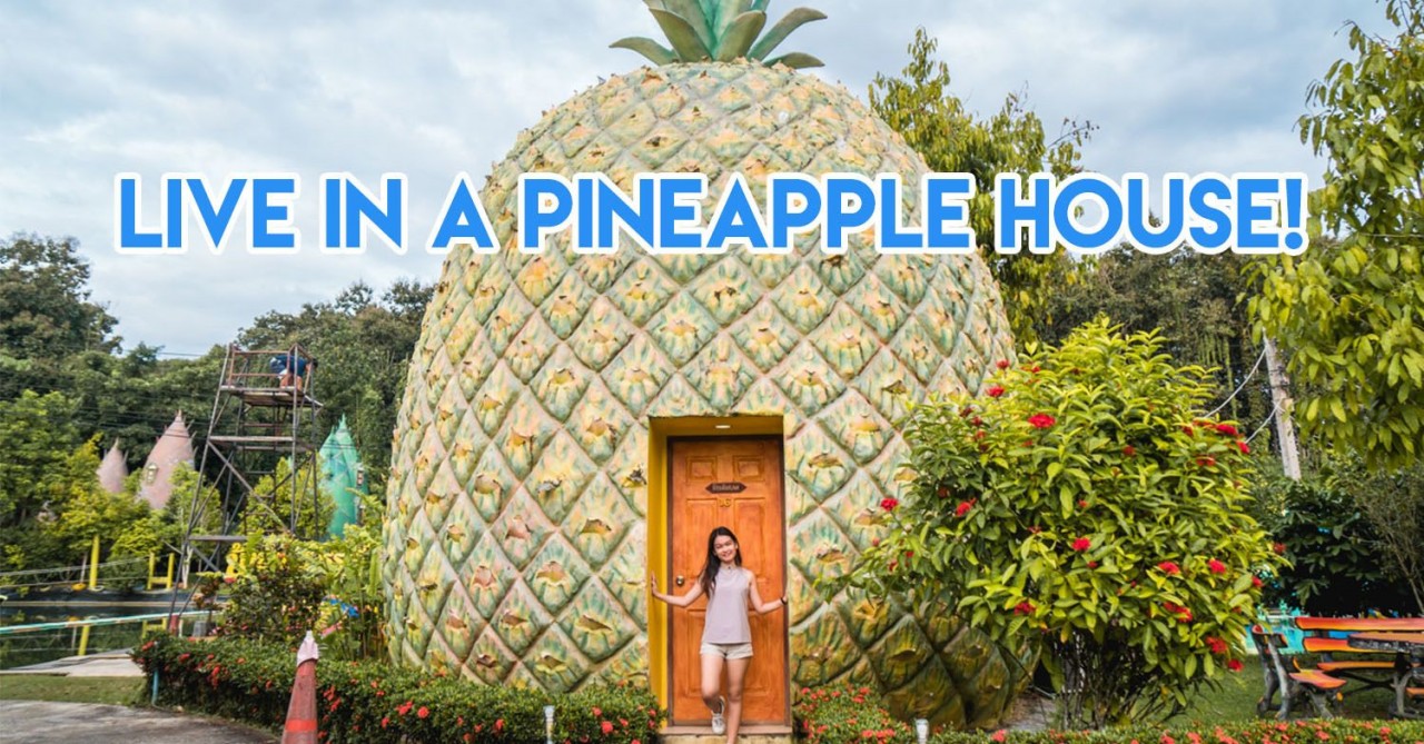 live in a pineapple house