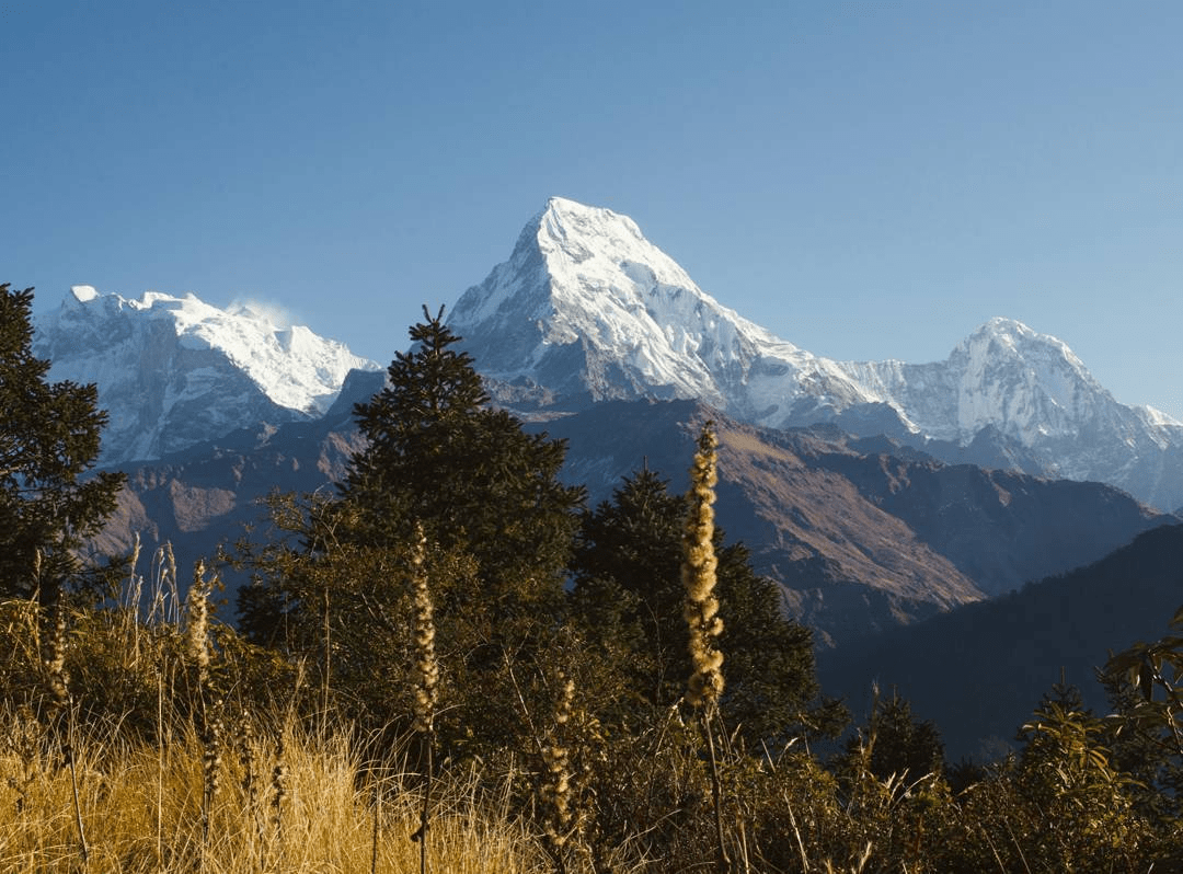 view of snow capped himalayas from poon hill nepal