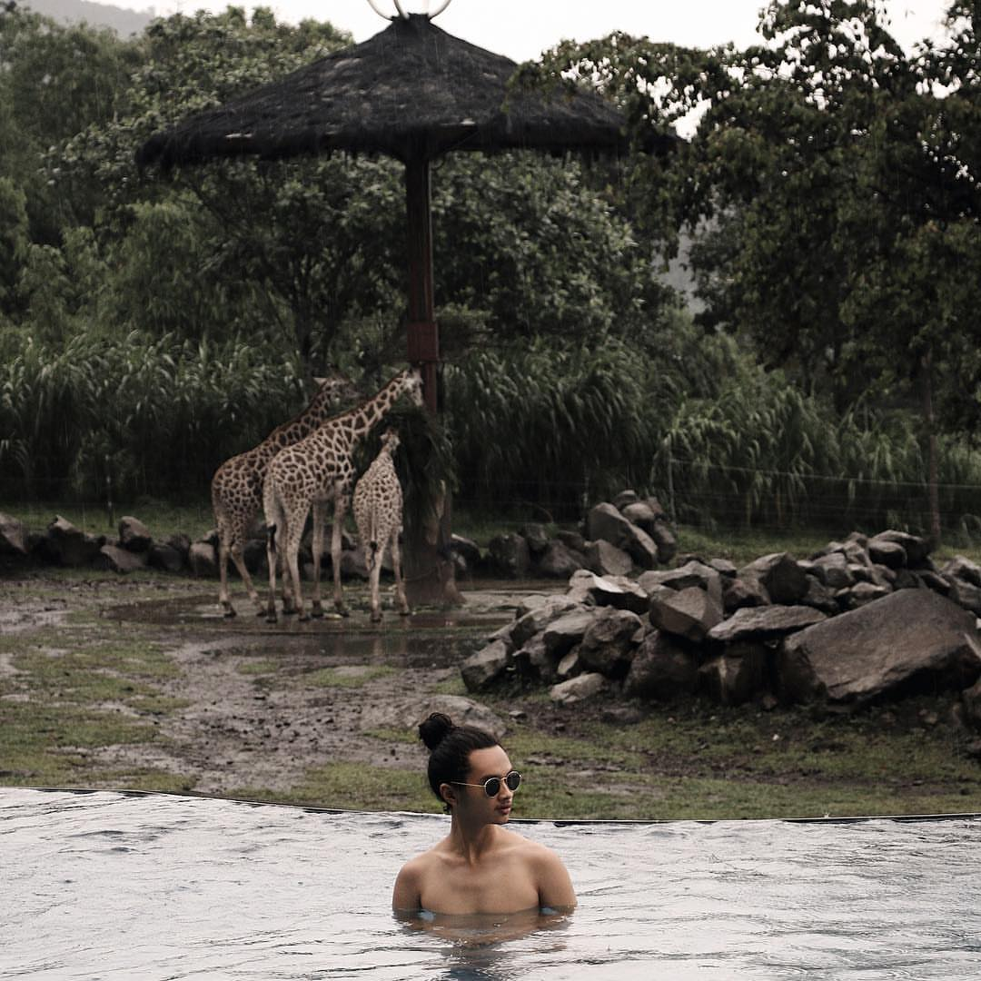 safari zoo infinity pool swim