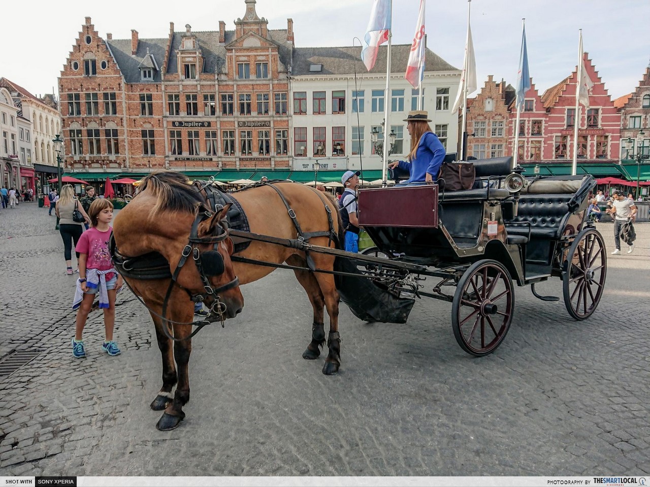 Brussels 7 things (15) - Brugge horse carriage