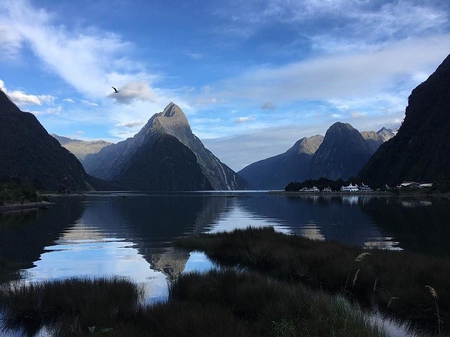 The views of Milford Sound