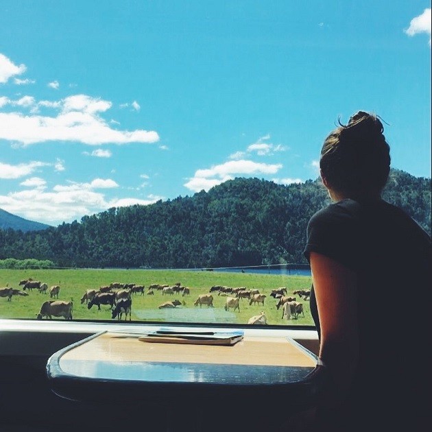 The view of stunning landscapes from the Trans Alpine Train