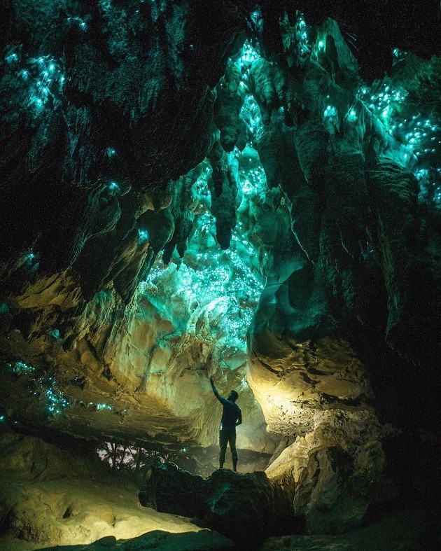 Admiring the Glowworm Caves