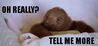 tell me more sloth gif
