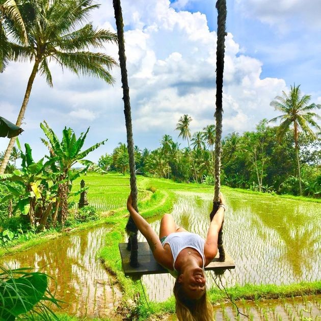 Swing over paddyfields at firefly eco lodge