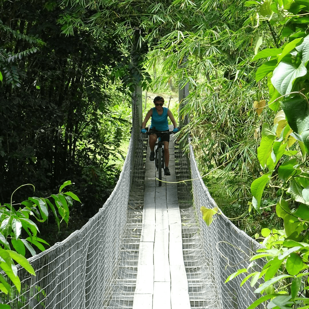 Bikeborneo Kota Kinabalu - suspended bridge