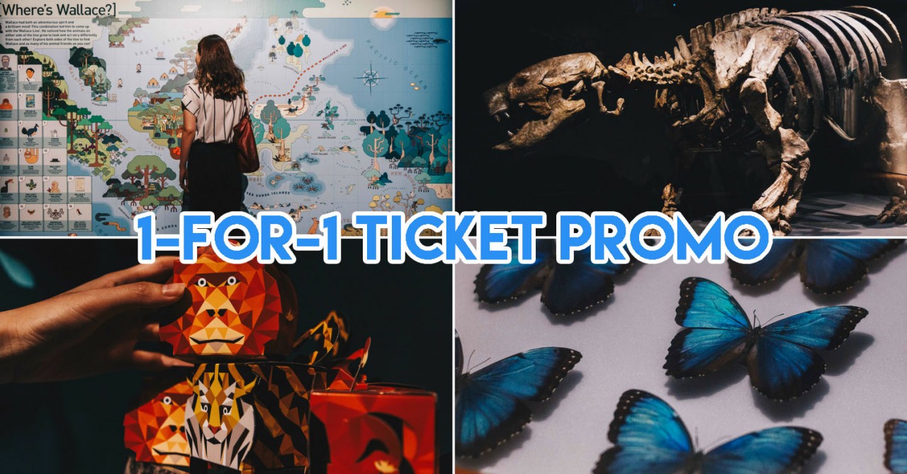 1-for-1 tickets at ArtScience Museum's Treasures of the Natural World