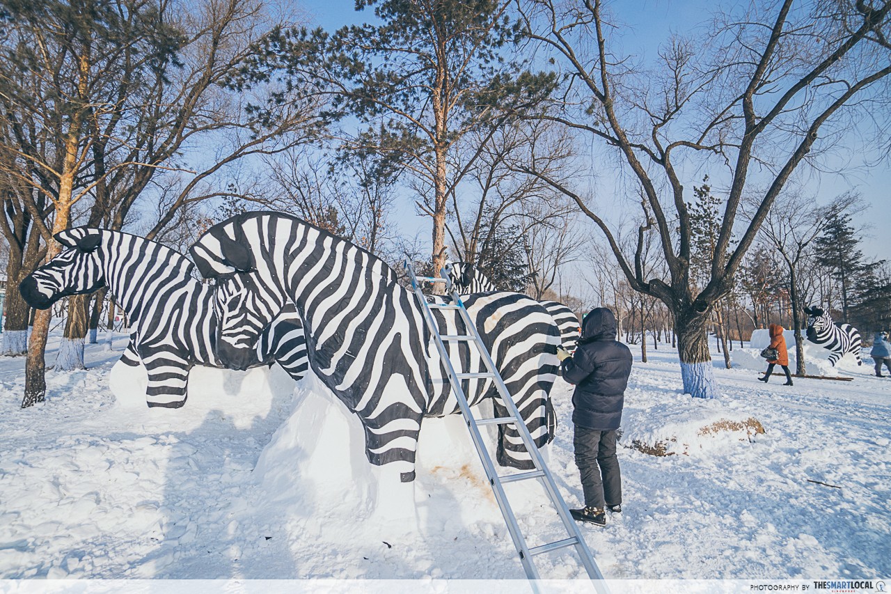 Harbin Snow Exhibition - zebra sculpture