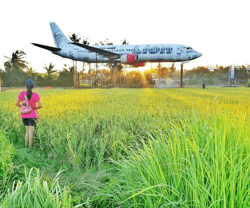Keramas Aero Park - rice fields