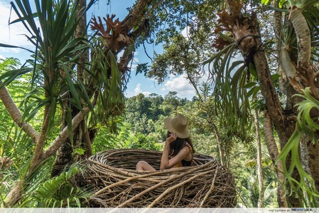 Bali Swing - hidden nest
