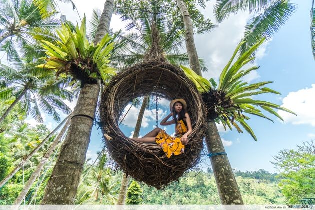 Bali - nest
