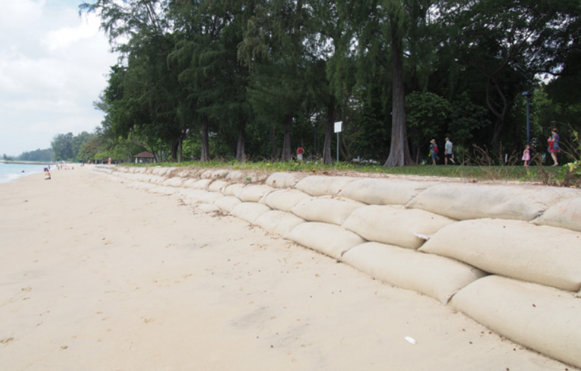 ways to prevent soil erosion in singapore 