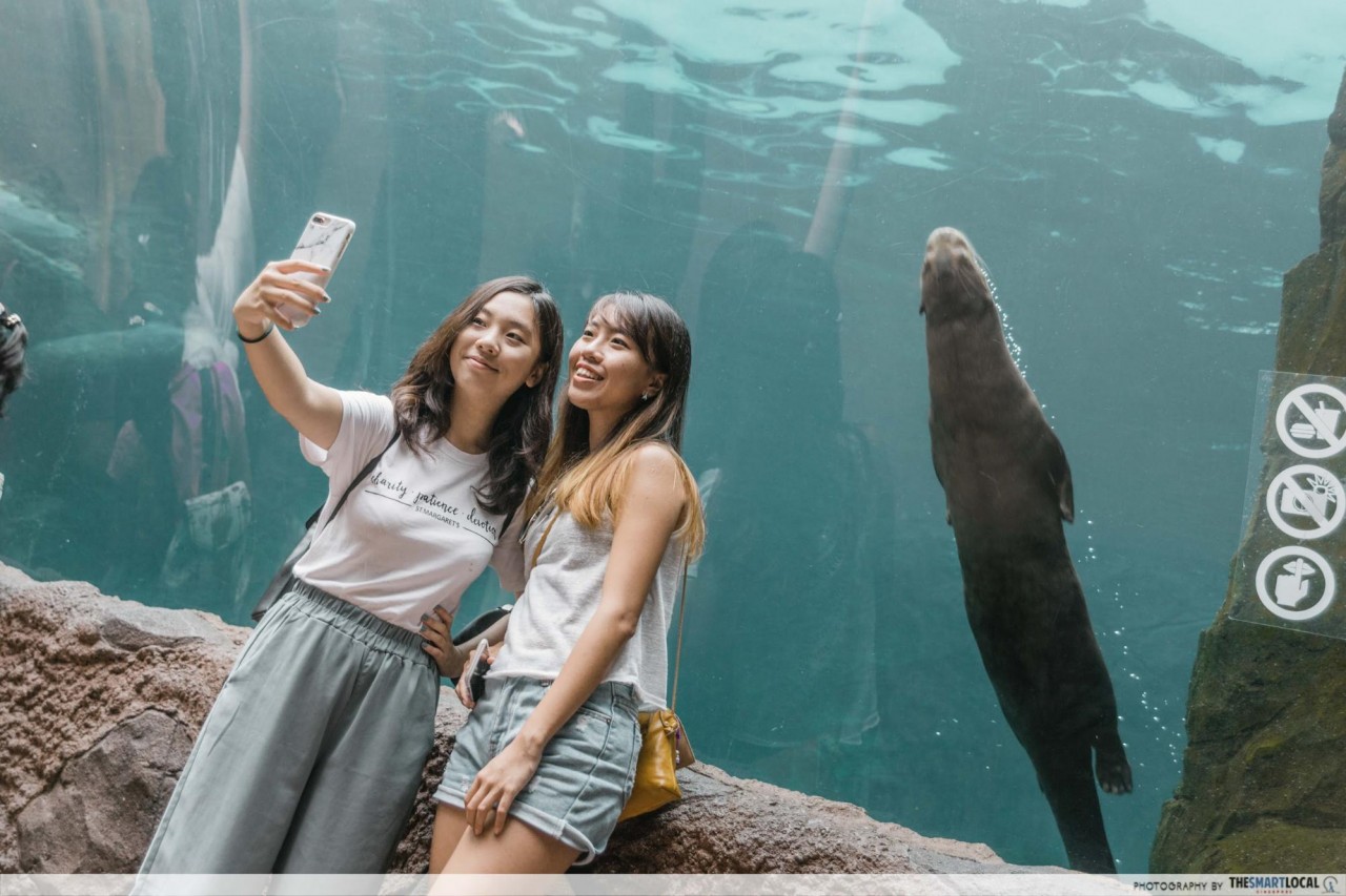 Selfie with giant river otters river safari