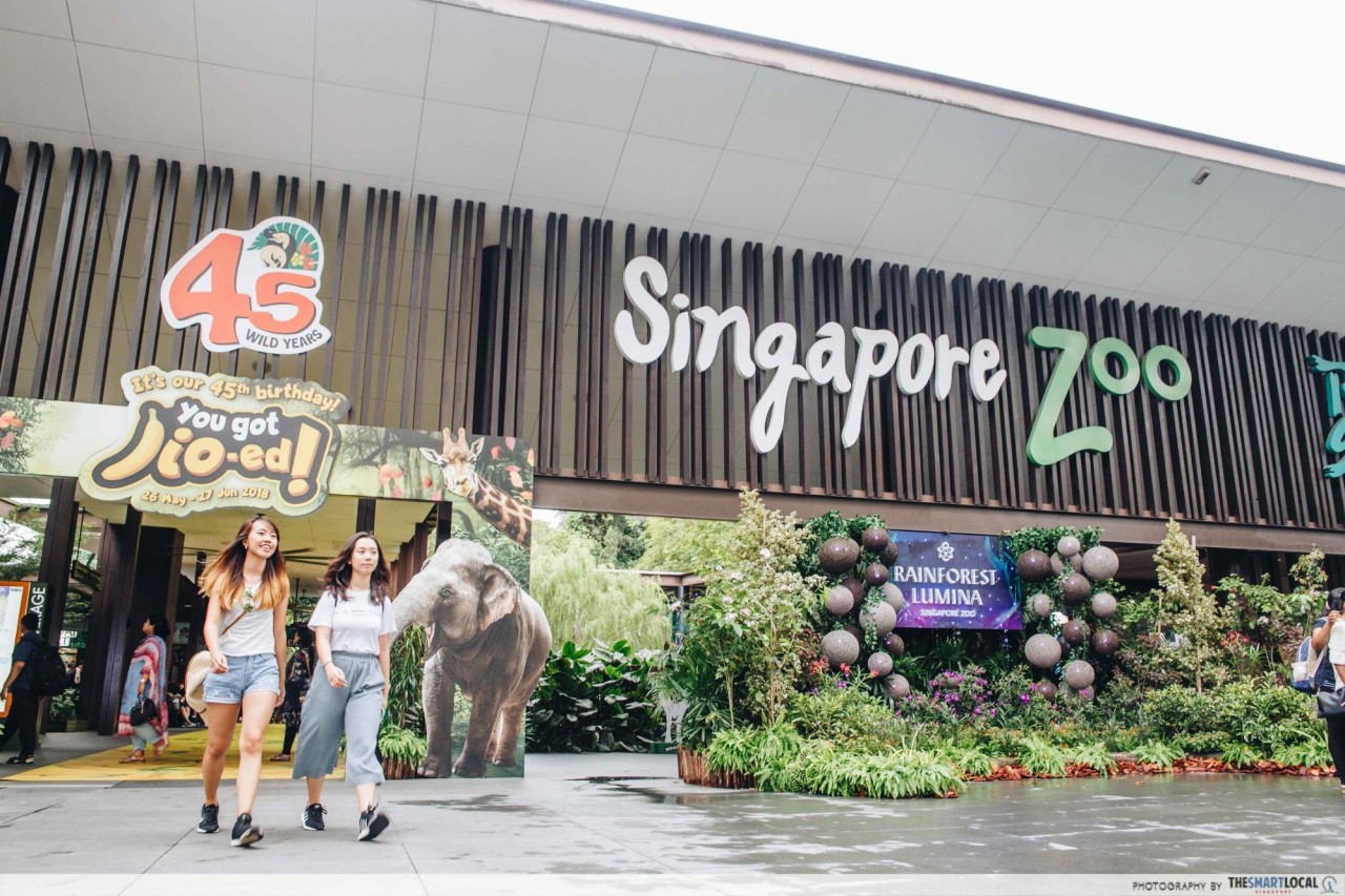 singapore zoo promo