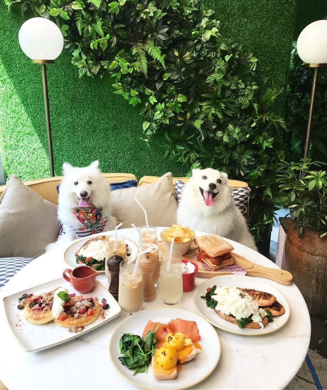 11 Dog-Friendly Cafes & Restaurants In Singapore That You Can Dine At